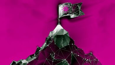 Cardanotrittindie"letzte,kritischePhase"vordemAlonzo UpgradeimnächstenMonatein:IOHK