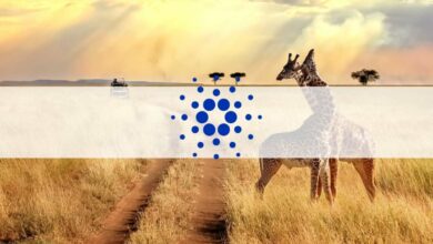 Cardanos IOHK hat sich mit der EBU zusammengetan, um Bildung in Afrika zugänglicher zu machen
