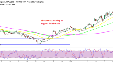 A bullish reversing chart setup has formed in Litecoin