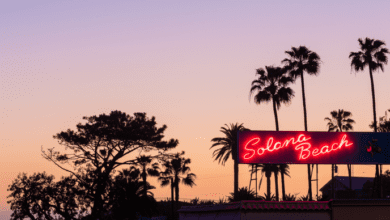 DerSolana PreiserreichteamWochenendeeinneuesAllzeithochvonüberUSD