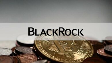 DerweltgrößteVermögensverwalterBlackRockbesitztMillionenUS DollaranBitcoin Miner Aktien:Bericht