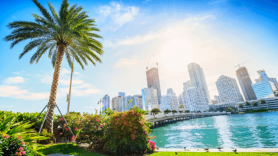 DiesistdieneuesteKryptowährungsbörsefürdieMigrationindieUS Krypto HauptstadtMiami