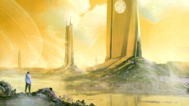 Diese steigende Altcoin ist darauf vorbereitet, höher aufzusteigen, sagt Crypto Trader Lark Davis