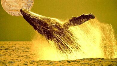 DieserKryptowalhatüber.US DollaranTradesverdient–​​ohneBitcoinoderEthereumzubewegen