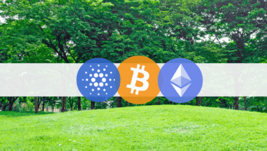 ETHauf Monats Hoch,CardanoEyes$,BNBfügt%hinzu,BTCüber$.(MarketWatch)