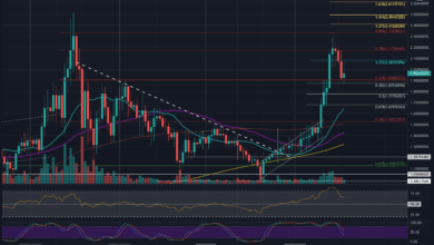 ErwartetesRetracement?CardanofälltnachdemMarktabschwungunterUSD(ADA Preisanalyse)
