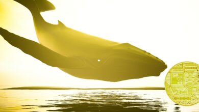 Fetch.ai,BancorundzweiweitereAltcoinssindHeadline AssetsmitstarkerWalakkumulation:Santiment