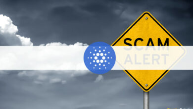 Gefälschte Cardano (ADA) Wallet auf Discord vermarktet