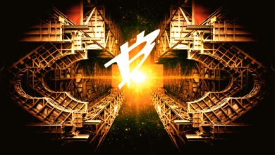 Große Bewegungen am Horizont? Kryptostratege Michaël van de Poppe analysiert den Weg von Bitcoin, Ethereum und Cardano