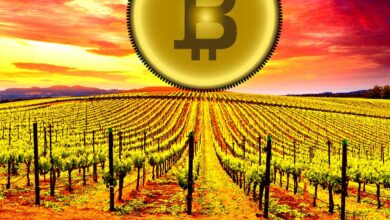 HabenSieBitcoin?,MillionenUS DollarinBTCkauftgroßzügigesAnwesenmitWeinbergblickimkalifornischenWeinland