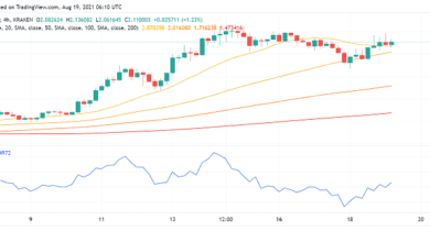 Interesse an Cardano (ADA) steigt noch vor Alonzo HFC