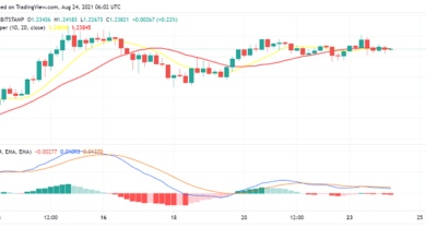 Ist RippleBereitet sich XRP bald auf eine starke Rally vor?