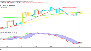 Ist RippleIst XRP bereit für ein Bein höher? Unterstützung bei Prozessentwicklungen