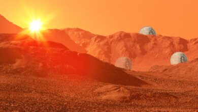 IstesDeFi Saison?Top Traderprognostiziert,dasszweiAltcoinsausdemheißenKrypto Sektorexplodierenwerden