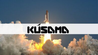 KSMsteigtum%aufeinZweimonatshochvorKusamasParachain Auktionsstart