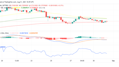 Kann Mark Cubans „Dogemanie“ Dogecoin (DOGE) über den Drehpunkt bringen?