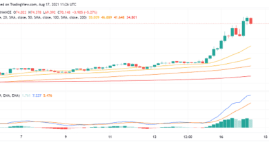 Kann Solana (SOL) bald neuere ATHs erstellen?