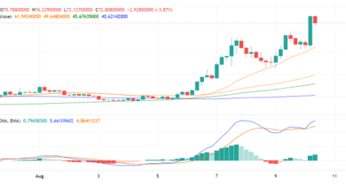 Can We See a Spurt in Internet Computer Protocol (ICP) Price and Adoption Soon?