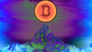 KrakensDanHeldsagtvoraus,dassBitcoinumüber%steigt,wennBTCdenBullenmarktvonnachahmt