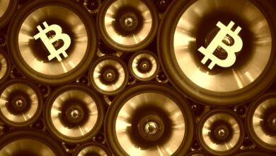 Krypto Adoption:BitcoinwirdjetztaufeinerdigitalenPlattformakzeptiert,diepopuläreStimmenimFinanzbereichantreibt