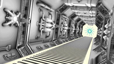 LautCryptoTraderAaronArnoldkönntedieserCardano KatalysatorADAingrößereHöhenversetzen