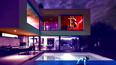 LautSharkTank VeteranKevinO'LearybeginnenInvestoren,BitcoinalsdigitalesEigentumzusehen