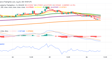Avalanche (AVAX) Slides Lower: Good Time to Buy?