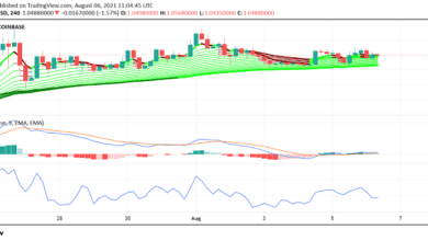 MATIC erhält Unterstützung von Polygons Expansion in NFTs