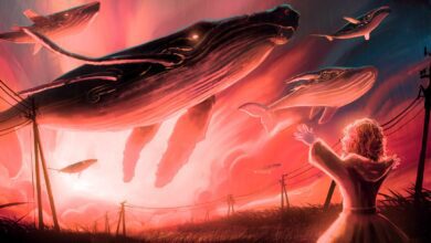 Mega reicheBitcoin Waleverschwinden,währendsicheineimmenseVerteilungsphaseabspielt,sagtOn ChainAnalystWillyWoo