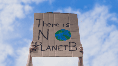 NeuerREVERSE Tokenhilft,denKlimawandelumzukehren