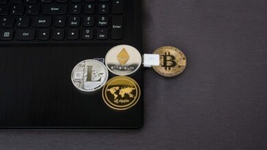 Plant MetaMask die Einführung eines nativen Tokens?