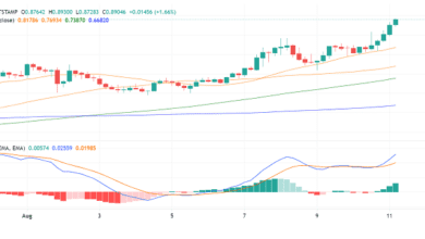 RippleXRP GewinnetrotzanhaltenderRechtsprobleme–,USDinSicht?