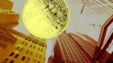 Senatorin Elizabeth Warren sagt, dass Krypto ein größeres Risiko für das Finanzsystem darstellt, je größer es wird – hier ist der Grund