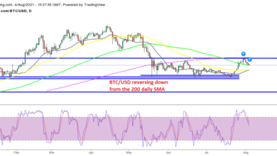 Setzt der Kryptomarkt diese Woche den Rückgang fort, nachdem Bitcoin letzte Woche die Spitze der Range erreicht hat?