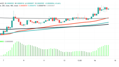 ShibaInubereitetsichvor,umhöherzugehen:$,NächstesZiel?