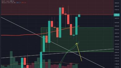 Sind.US Dollarankommen?(BTC Preisanalyse)