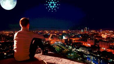 TopTradersagtMonster%CardanoRallyvoraus,wirdbullischbeiAltcoins