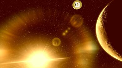 Top Traderwarntdavor,aufDogecoinzuschlafen,schlägtMega BullishaufdiesemSolana basiertenAltcoin