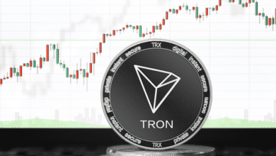 Tron verteidigt seine erste große Unterstützungsstufe