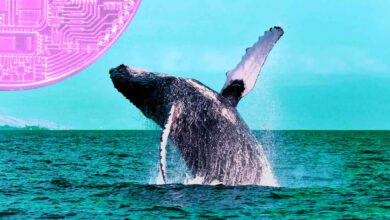 Walebewegen..$inBitcoinundEthereum,währendderMarktabprallt–hiergehtdieKryptohin