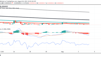 WarumistShibaInu(SHIB)trotzErgänzungderCoinbase Verwahrungschwach?