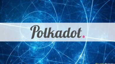 Was ist Polkadot? Die vollständige Anleitung