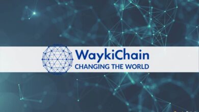 WaykiChain Foundation gab ihre Aktiendividenden von Beekuaibao Investment bekannt