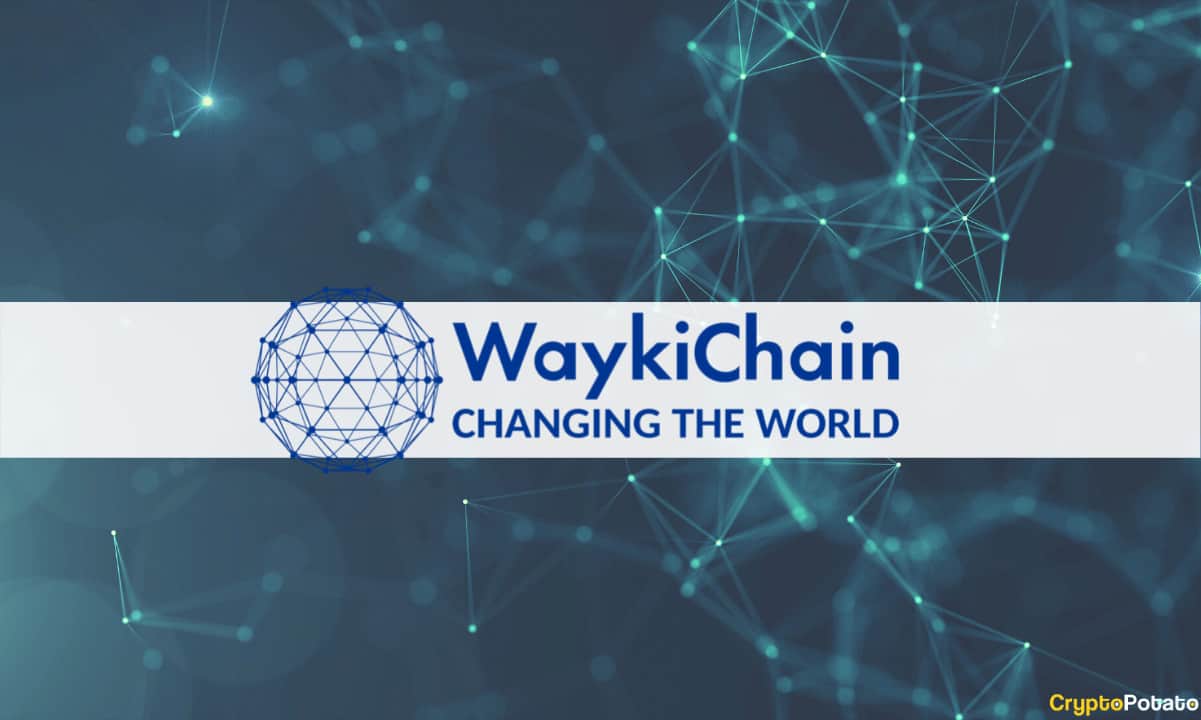 WaykiChain Foundation gab ihre Aktiendividenden von Beekuaibao Investment bekannt