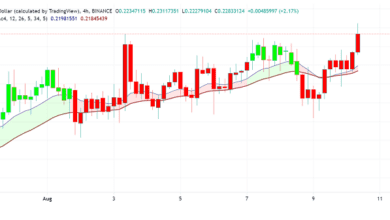 Wie reagiert Hedera Hashgraph (HBAR) auf die bullische Stimmung?