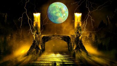 WirdsichdieKrypto Geschichtewiederholen?Auf ChainAnalystWillyWoohinterfragtkonventionelleWeisheitüberdieFlugbahnvonBitcoin