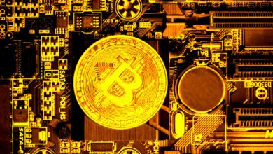 XRP,BitcoinCashundzweiandereAltcoinspositionierensich,umBitcoinzuübertreffen,prognostiziertderTop Kryptoanalyst