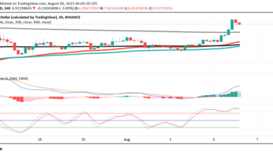 ZweistelligetäglicheGewinneinTHETAnachderMetamask Ankündigung