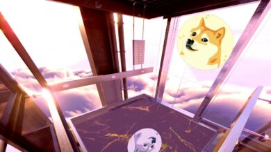 „Ich bin sehr optimistisch bei Dogecoin“, sagt Su Zhu, CEO von Crypto Hedge Fund – hier ist der Grund