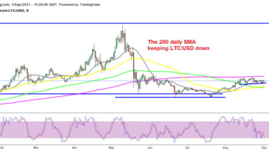 Kaufversuche in Litecoin scheitern, da der Kaufdruck in LTC/USD nachlässt